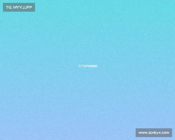 2019年9月赛事有哪些 2019年9月赛事有哪些