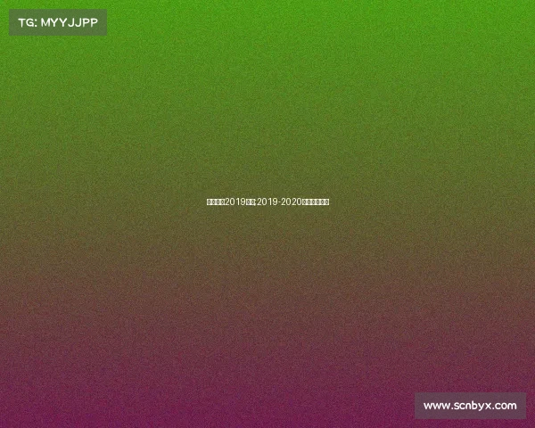 中国女排2019赛事;2019-2020中国女排联赛