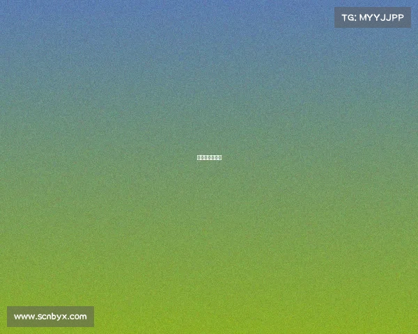 中国武林争霸赛