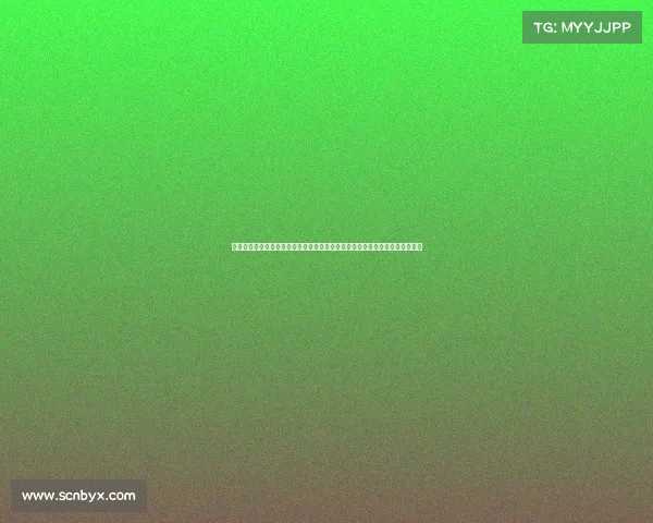 引进国际赛事—全面引进国际赛事促进经济文化繁荣发展打造世界级体育目的地