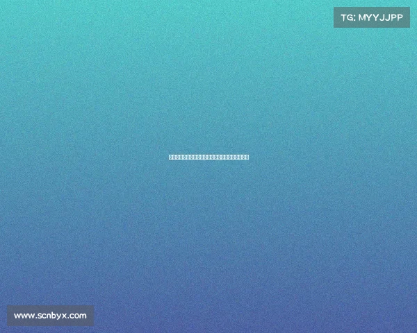 电子竞技大赛自行车波加查—自行车电子竞技锦标赛