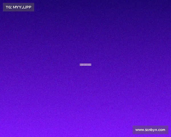 宝马电子有限公司