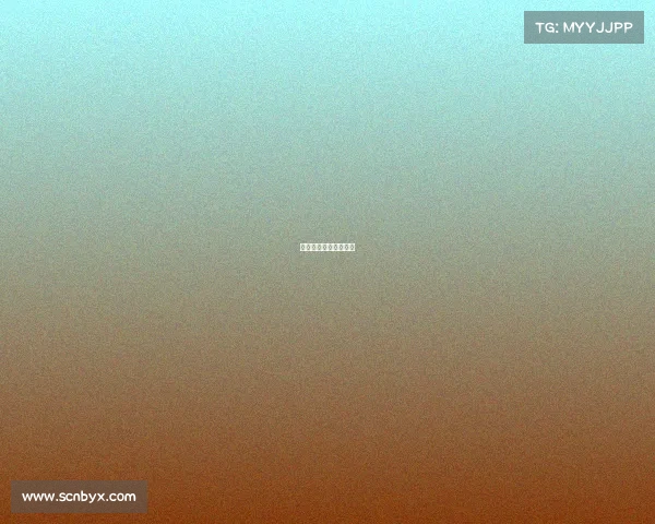 繁星电子科技有限公司